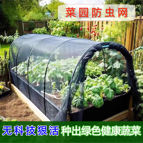 大棚防虫防苍蝇沙网网布