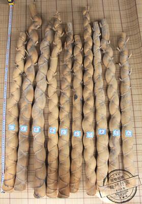 龟甲竹 5公分竹材 人面竹 异性竹 奇形竹 竹杆 茶具 茶匙 原材料