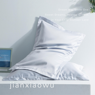 儿童枕头3到6岁以上幼儿园午睡专用140支全棉枕套蚕丝枕四季通用