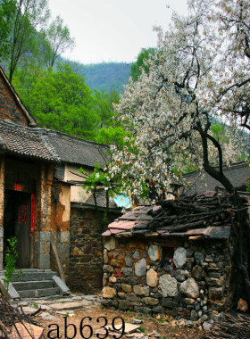 直播间农村背景布薄利多销
