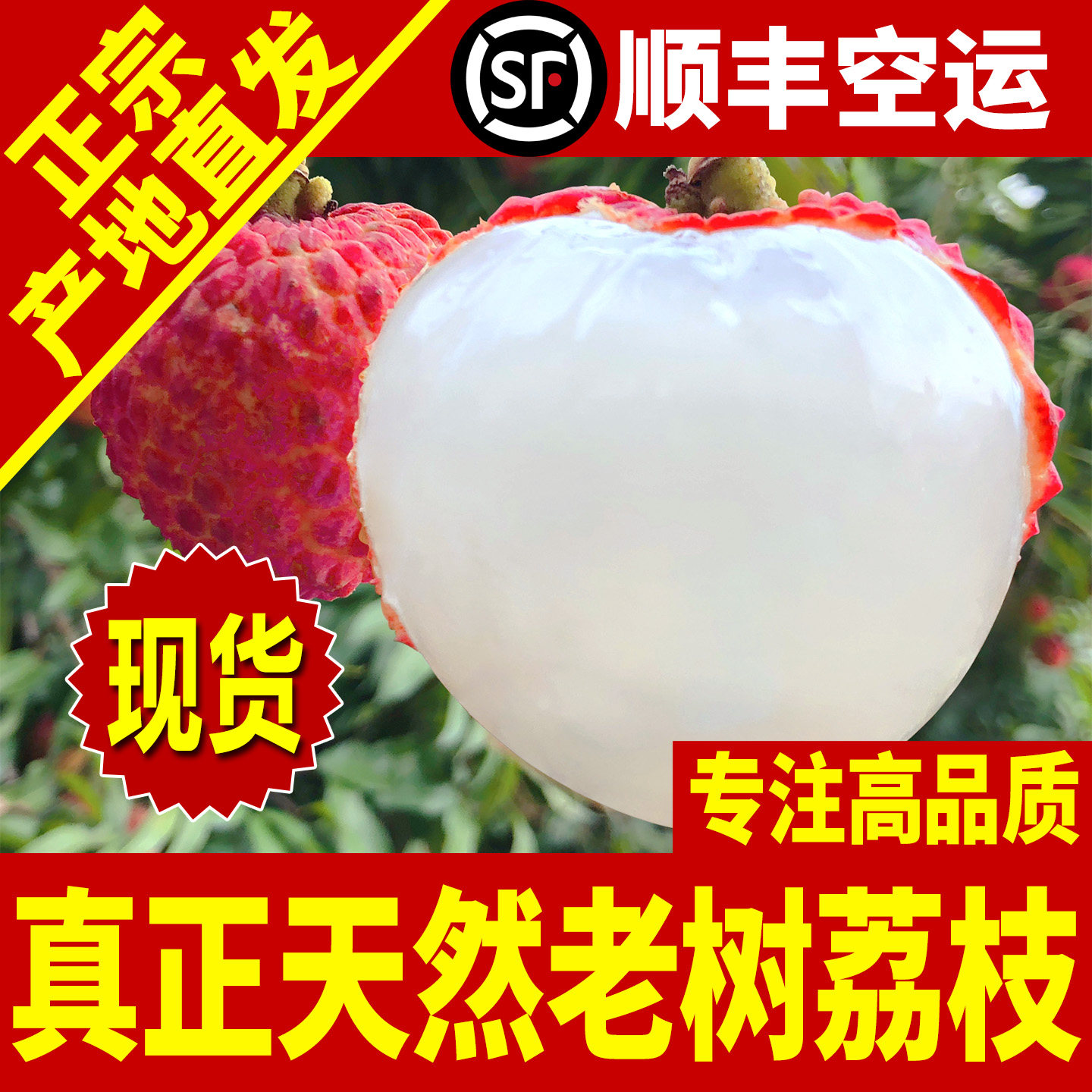 深圳南山荔枝白糖罂新鲜老树水果5斤礼盒箱广东糯米笑糍妃子顺丰