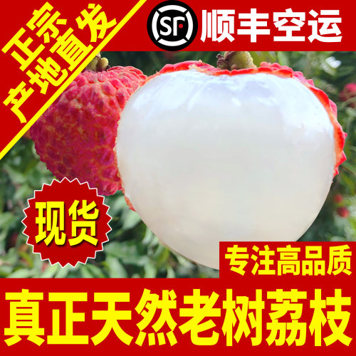 【深圳南山荔枝熟啦】新鲜采摘