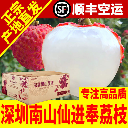 正宗老树仙进奉荔枝净果5斤