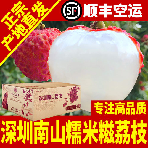 【南山糯米糍荔枝熟啦】新鲜采摘