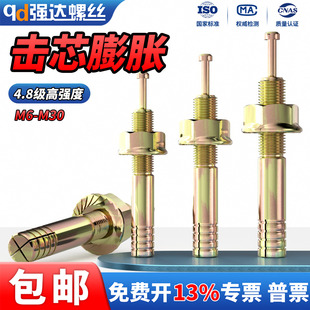QD高强度击芯膨胀螺栓螺丝举升机专用加长锤击敲钉爆炸固定壁虎管