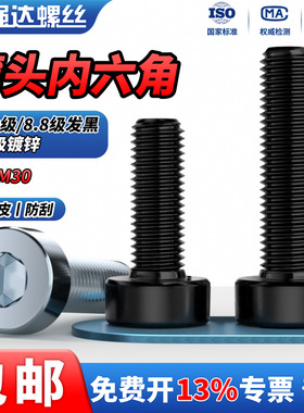 QD12.9级薄头内六角螺丝8.8级发黑/8.8级镀锌矮头扁头螺栓螺钉M10