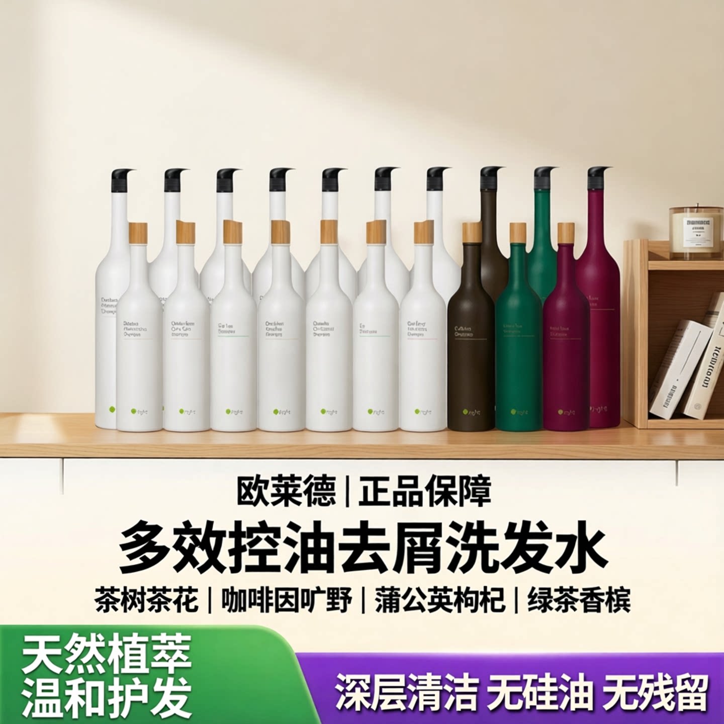 欧莱德茶树茶花咖啡因旷野蒲公英枸杞绿茶香槟洗发水正品控油去屑