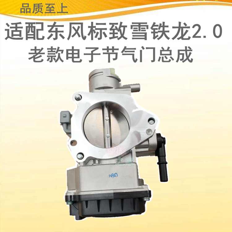 适配标致307CC老款307雪铁龙老款C5毕加索塞纳节气门电子节气门