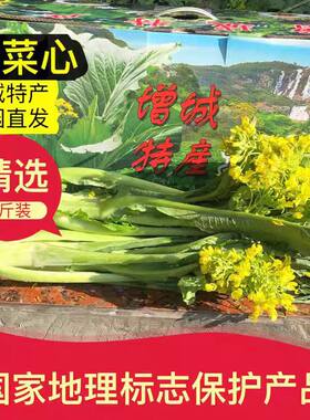 广东增城迟菜心新鲜现摘现发
