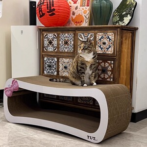 白色蝴蝶结 猫抓板 模切bb楞 长99cm长 重6.6kg 可承重150斤 顺丰