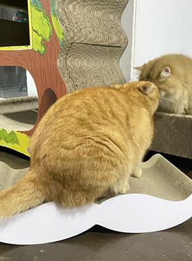 petfusion工厂:白胡子猫抓板 线锯bb楞 50*24*10cm 1.2kg 顺丰