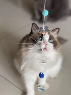 糖果逗猫棒 长杆 消耗体力 自嗨解闷 海盐薄荷/彩虹软糖/M豆可选