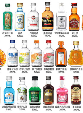 小酒版洋酒调酒鸡尾酒DIY