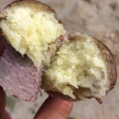 现挖爆皮王广东红薯高州爆皮王