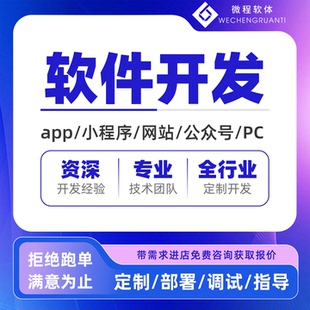 软件定制开发APP开发uniapp小程序公众号/网站建设PC端QT应用定制