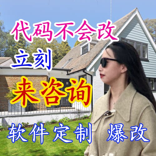 计算机程序设计代编软件代码修改