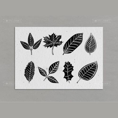 Procreate植物花草图案秋天落叶叶片8款iPad绘画工具手绘创作素材