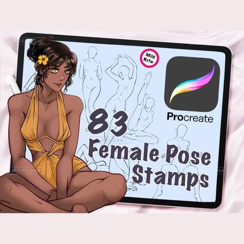 Procreate辅助参考线8款多功能图案纹样设计人物角色绘制iPad绘画