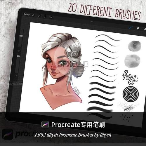 Procreate人像写实22款插画创作上色着色iPad绘画工具绘本素材包