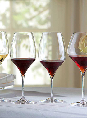 奥地利进口Riedel醴铎Vitis水晶玻璃红酒杯一体成型香槟葡萄酒杯
