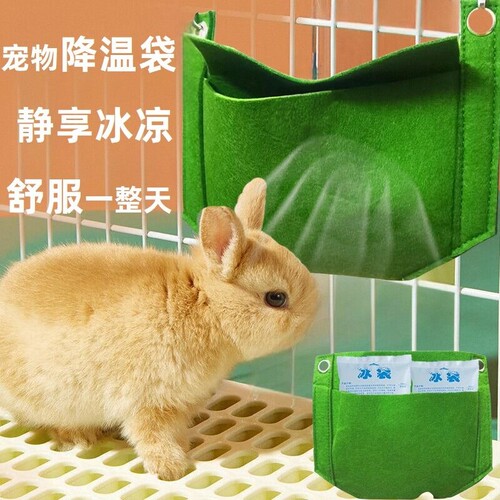 降温神器消暑散热冰袋