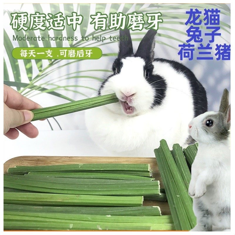 兔子龙猫荷兰猪木瓜茎磨牙零食高纤维排毛宠物兔兔小零食,宠物/宠物食品及用品,兔兔其他,淘宝优惠券,粉丝福利购,淘宝优惠卷