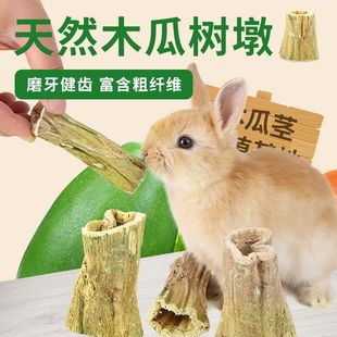 兔子龙猫荷兰猪烘干木瓜墩磨牙零食木瓜树茎玩具宠物磨牙玩具零食