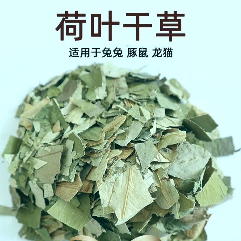 兔子龙猫荷兰猪荷叶干草零食解暑通便预防中暑夏天零食