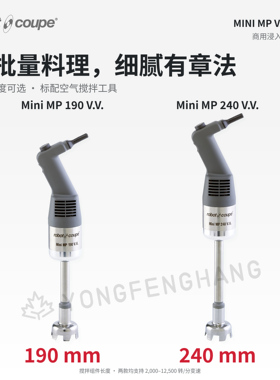 法国Robot Coupe乐伯特浸入式手持搅拌机均质Mini系列
