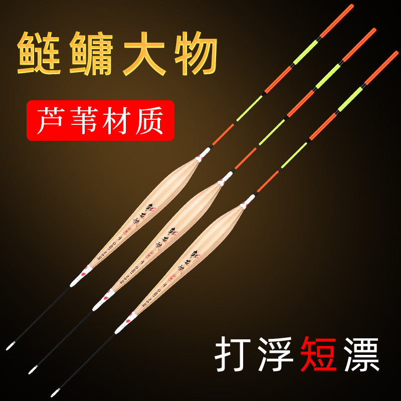 浮漂鲢鳙打浮专用轻便