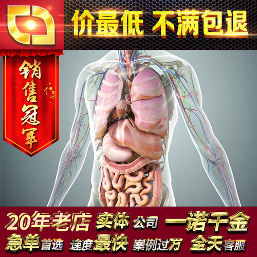 blender医学医疗原理生物医药微观MG三维视频动画代做c4d玛雅maya