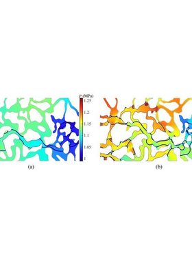 palabos PowerFLOW XFlow LBM湍流气液流动多相物理流固耦合代做