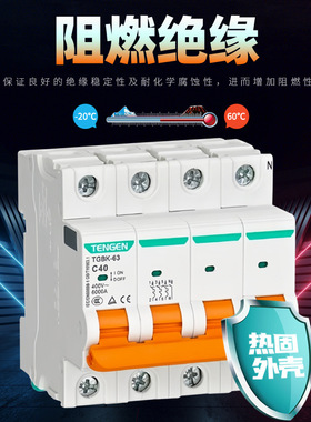TENGEN天正 TGBK-63空气开关小型断路器1P2P单相3P电闸63A家用