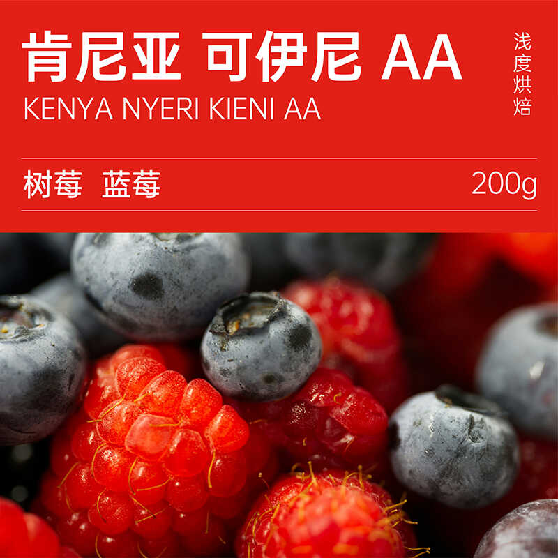 2024产季世界亚军肯尼亚