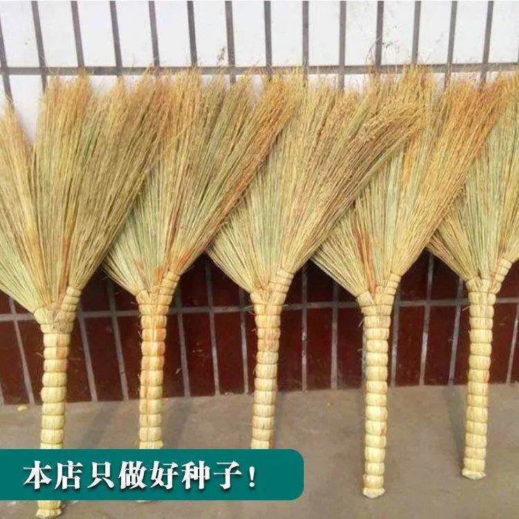 扫帚高粱种子东北笤帚糜子种子条帚扫帚红高粱种籽酿酒高粱种孑