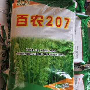超高产百农207小麦种子耐高温抗冻抗病矮杆抗寒冬抗倒伏优质正品