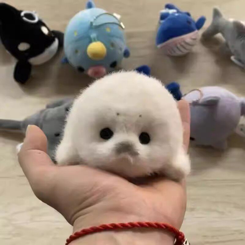 掌动海豹玩偶挂件海洋生物系列毛绒挂件匠心手作玩偶娃娃开学搭子
