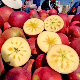 四川大凉山盐源丑苹果产地产地现摘现发脆甜当季新鲜水果