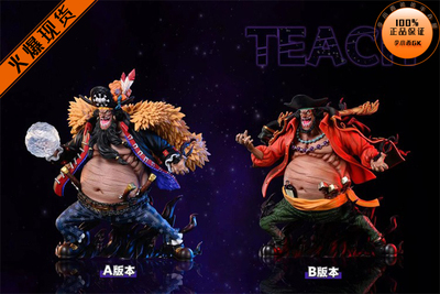 【李小西弟弟】WIFI黑胡子蒂奇