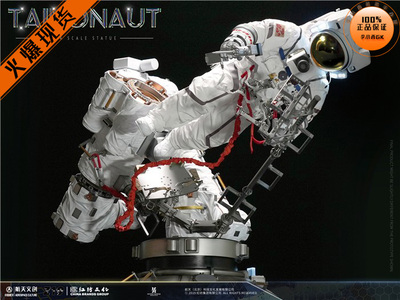 TAIKONAUT神舟十二号中国航天员