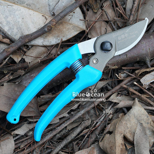 台湾果枝修枝剪剪枝剪剪刀