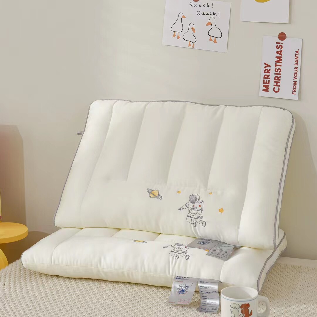 太空宇航员颈氧枕分区助眠护颈防螨定型低矮立体绣花羽丝绒枕芯头