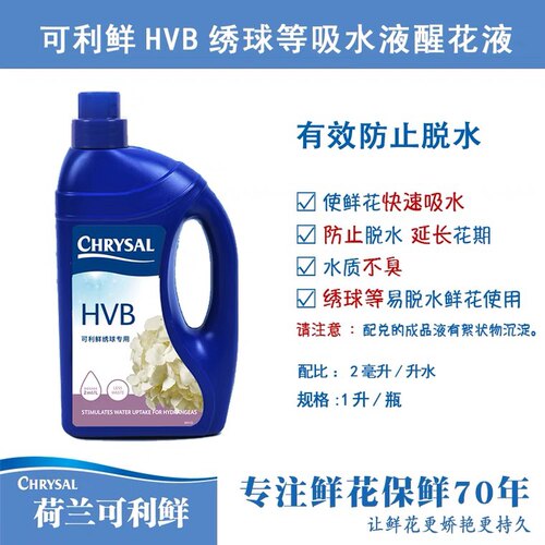 荷兰进口可利鲜专业绣球