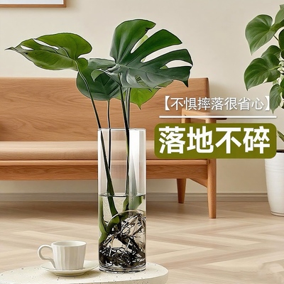 【金钻绿翡翠专用瓶】亚克力防摔水培花瓶家用透明塑料客厅摆件