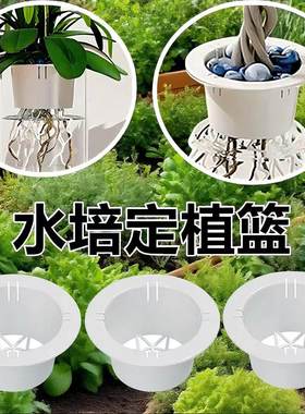 无土栽培水培定植篮鱼缸花盆固定