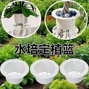 无土栽培水培定植篮鱼缸花盆固定篮加深玻璃花瓶固定架器绿萝固根