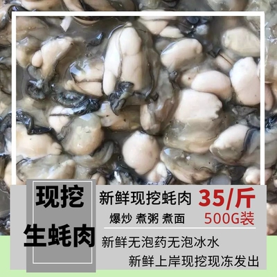 东山岛野生鲜活海鲜 活挖生蚝肉生蚝 现挖牡蛎肉海蛎子肉500g