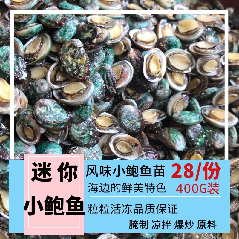 天然爆炒腌制迷你小鲍鱼仔 东山岛新鲜爆炒小鲍鱼仔鲜货400g一份