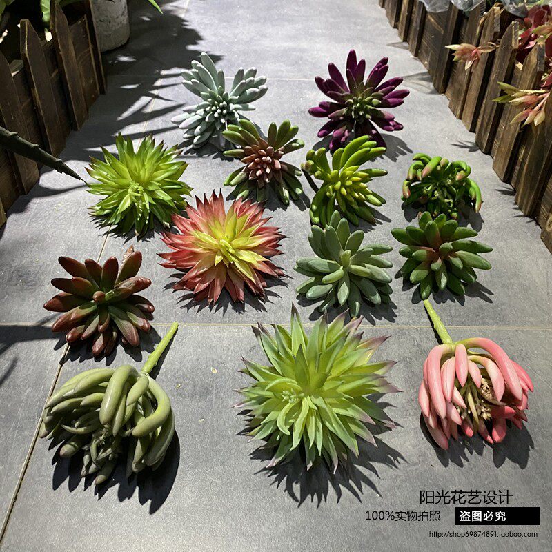 仿真多肉植物仙人掌绿色人造假花墙室内造景家居装饰品摆设件组合