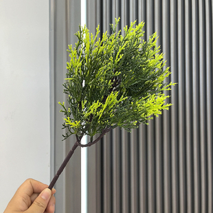 仿真松树枝假龙柏树枝侧柏太行崖柏圆柏刺柏长青松柏圣诞雪松树枝